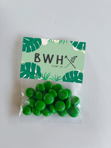 Personalized M&Ms & Custom M&Ms - Quality Logo Products