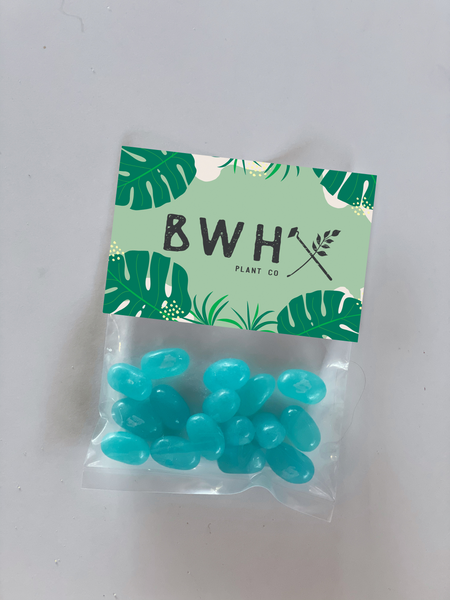 custom jelly bean bags with logo 