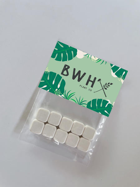 customized mints with logo