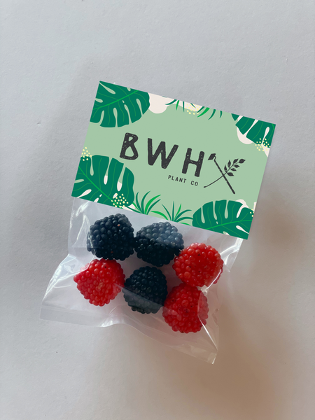 candy raspberries tradeshow giveaway bags