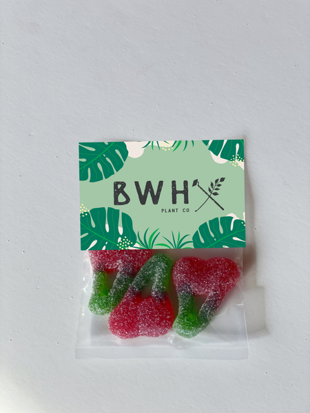 gummy cherries promotional candy bags