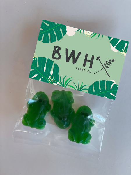 gummy frog tradeshow candy giveaways