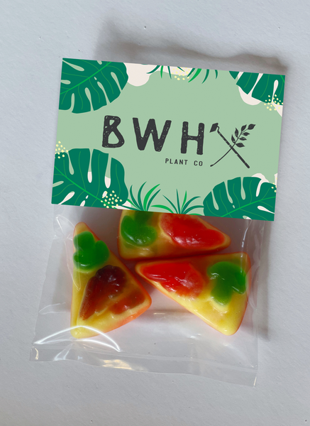 gummy pizzas promotional candy bags