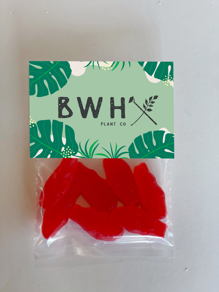 swedish fish branded candy bags