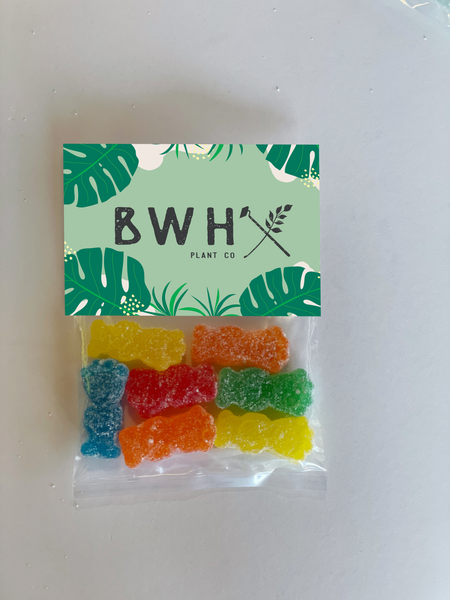 Sour Patch Kids Promotional candy bags