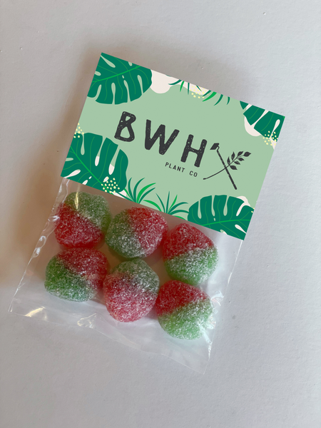 sour patch strawberry tradeshow candy giveaways