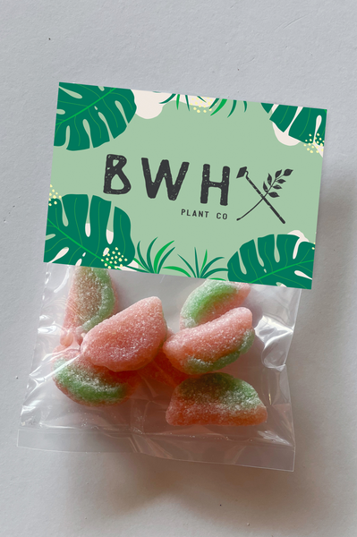 sour patch watermelon tradeshow candy giveaways