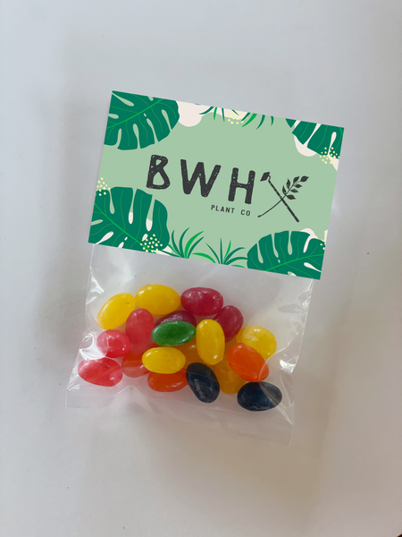 branded jelly beans tradeshow giveaways candy