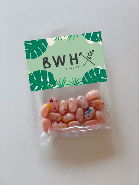jelly bean tradeshow candy giveaways