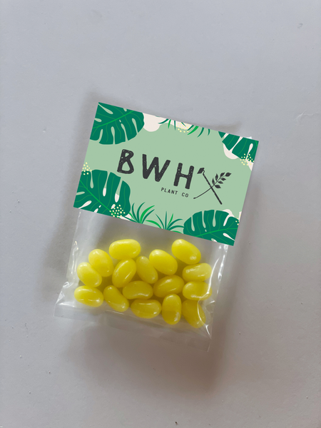 jelly bean branded candy bags